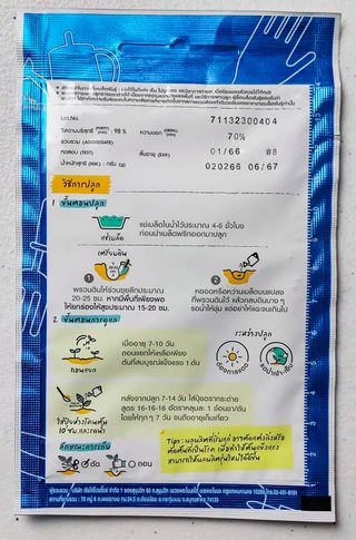 25 Semillas Pepper (medium green, long) / Pimiento