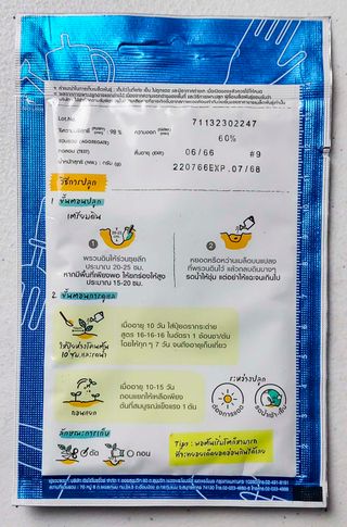 25 Semillas Spider Flower / Flor de Araña