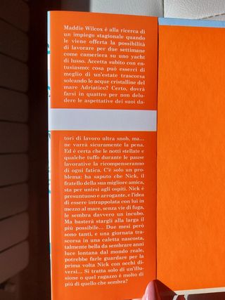 Iniziò tutto un giorno d'estate di Julie Caplin