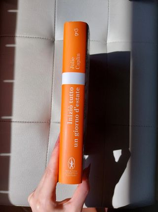 Iniziò tutto un giorno d'estate di Julie Caplin