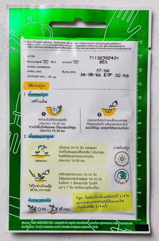 25 Semillas Hongtae Pakchoy