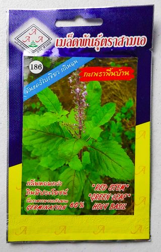 25 Semillas Thai Holy Basil / Albahaca Sagrada