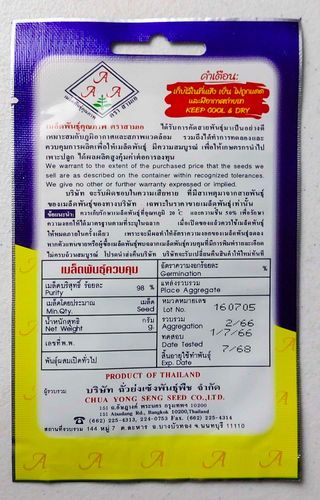 25 Semillas Tree Basil / Albahaca de Árbol