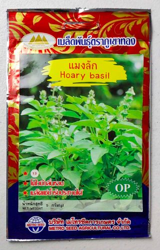 25 Semillas Hoary Basil / Albahaca Canosa Limón