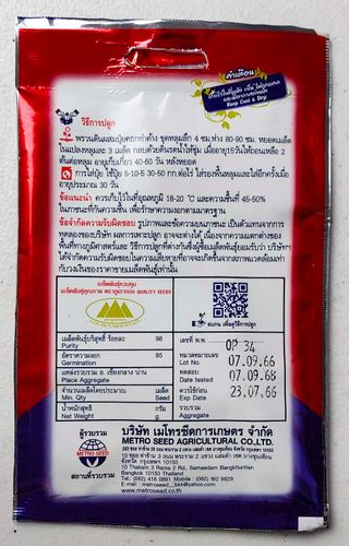 5 Semillas Loofah / Luffa / Esponja Vegetal