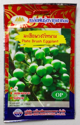 25 Semillas Plate Brush Eggplant / Berenjena