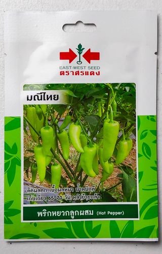 25 Semillas Hot Pepper (light green short)Pimiento