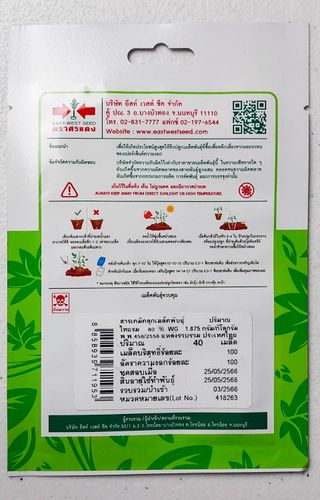 25 Semillas Hot Pepper (light green short)Pimiento