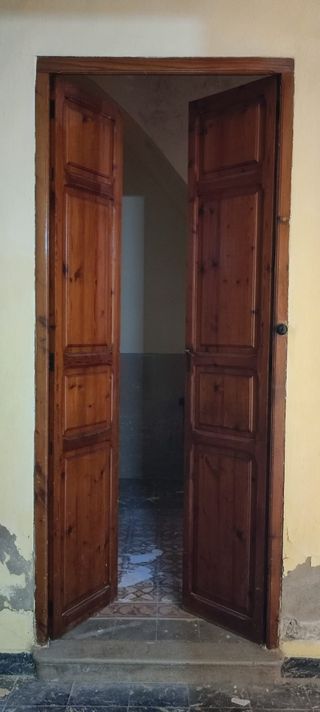 Puertas antiguas de mobila y doble hoja