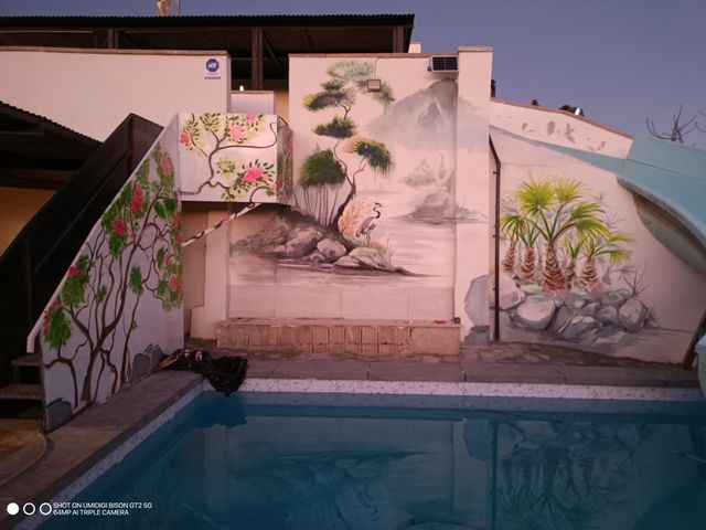 MURALES PINTADOS GRAFFITI VALENCIA