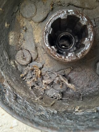 Vendo  hasperos estado bien.