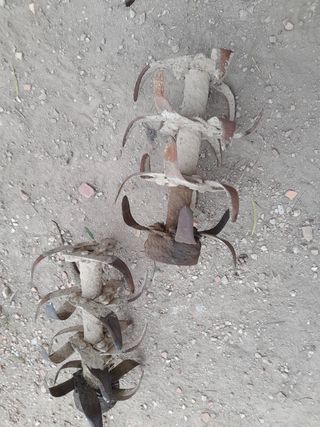 Vendo  hasperos estado bien.