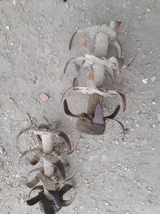 Vendo  hasperos estado bien.