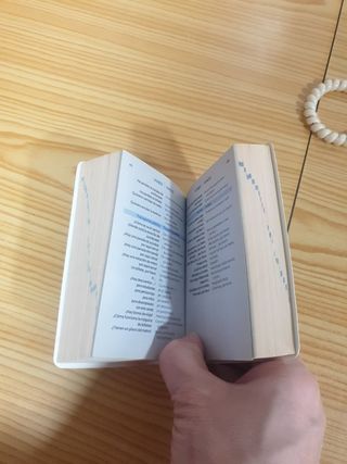 Diccionario italiano español