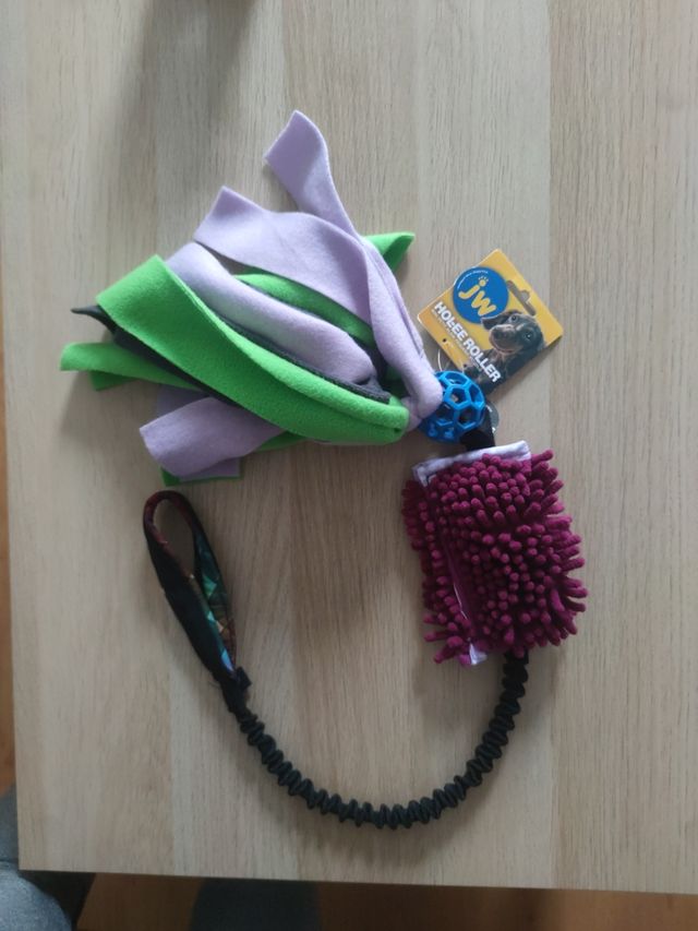 Motivatore per la dentizione del cane