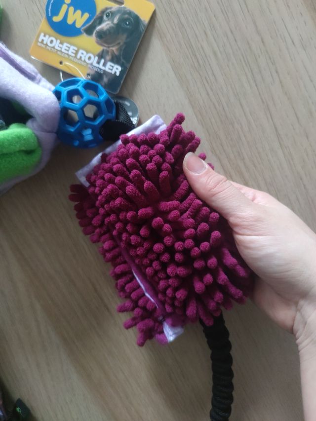 Motivatore per la dentizione del cane