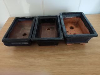 MACETAS BONSAI 