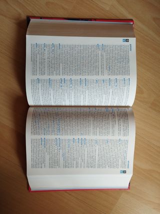 Diccionario lengua española