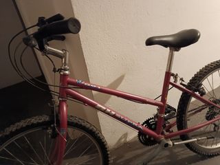 Bicicleta de montaña