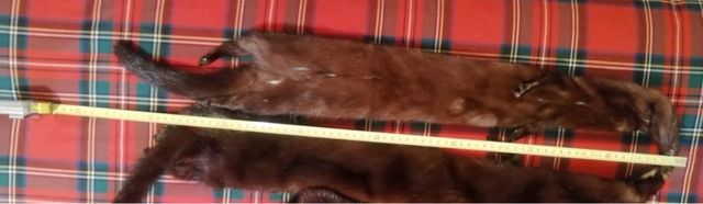 sciarpa donna in pelle