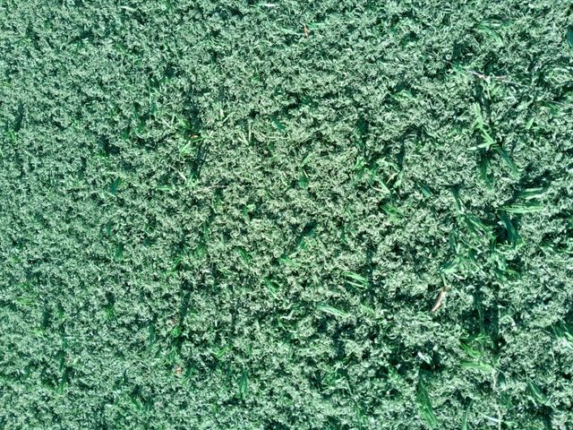 🌿transforma tu exterior con césped artificial 🌿