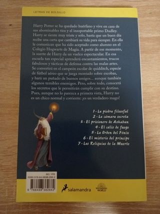 Libro Harry Potter