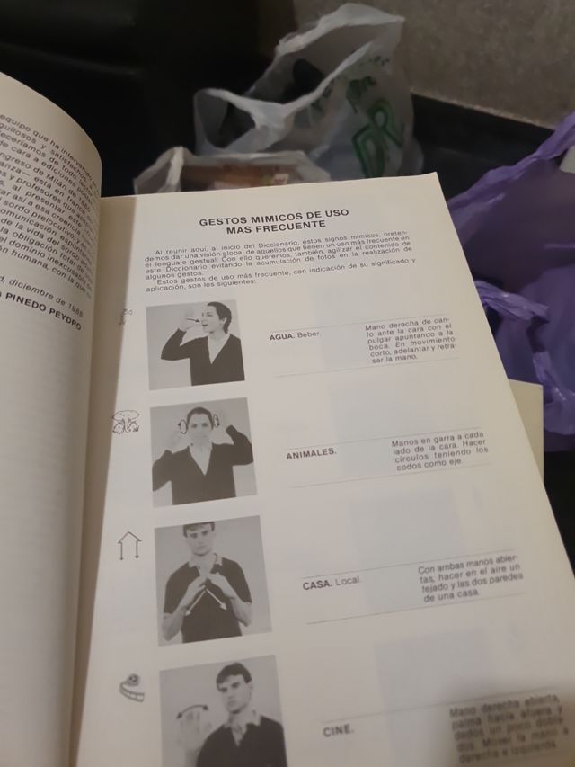 diccionario de lenguaje de signos
