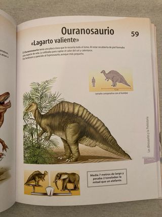 libro infantil atlas