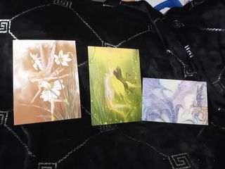 Caja portafotos con 12 postales hadas