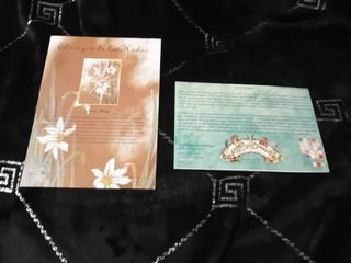 Caja portafotos con 12 postales hadas