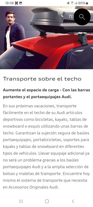 BARRAS AUDI Q5 PORTA-ESQUIS 