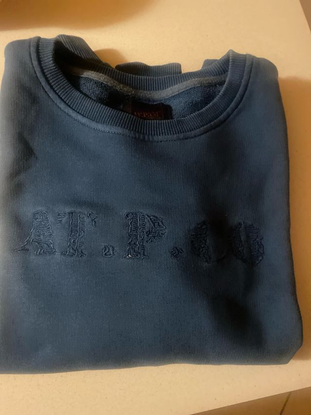 Felpa garzata AT.P.CO