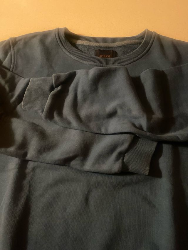 Felpa garzata AT.P.CO