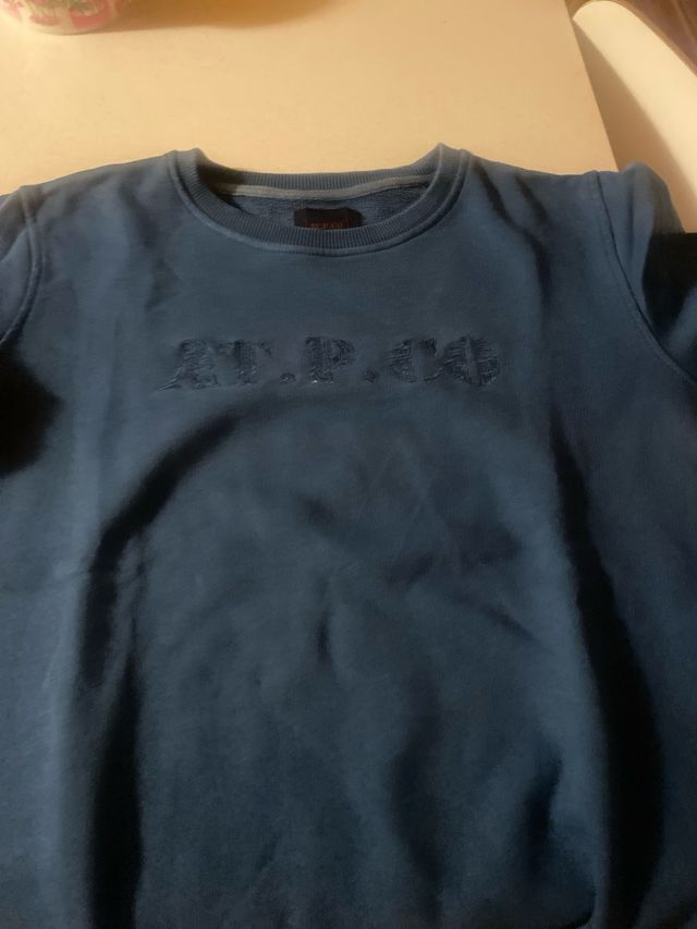 Felpa garzata AT.P.CO