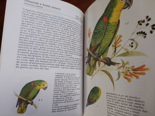Libro Uccelli