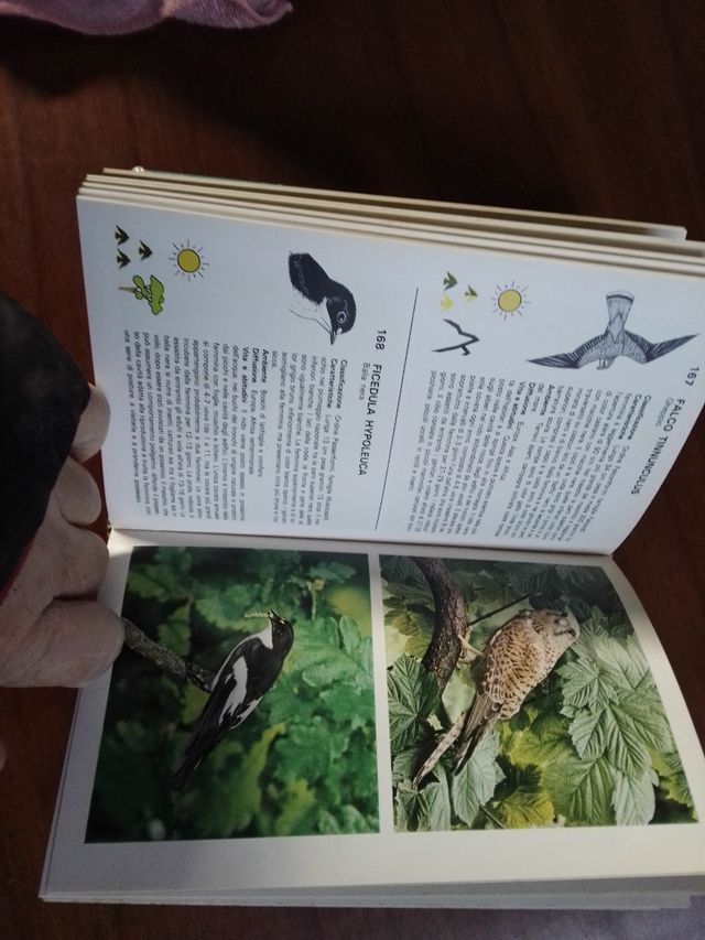 Libro sugli uccelli