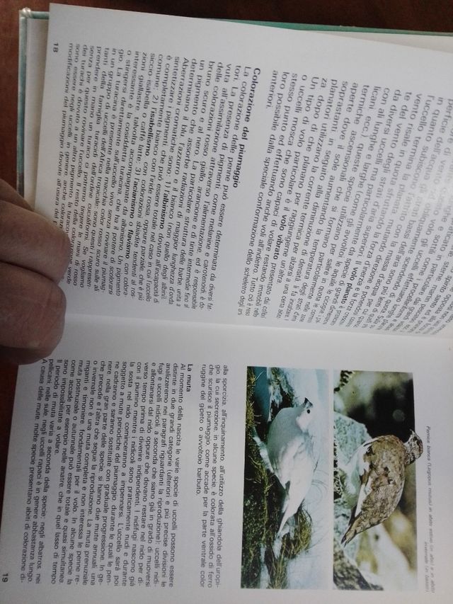 Libro sugli uccelli