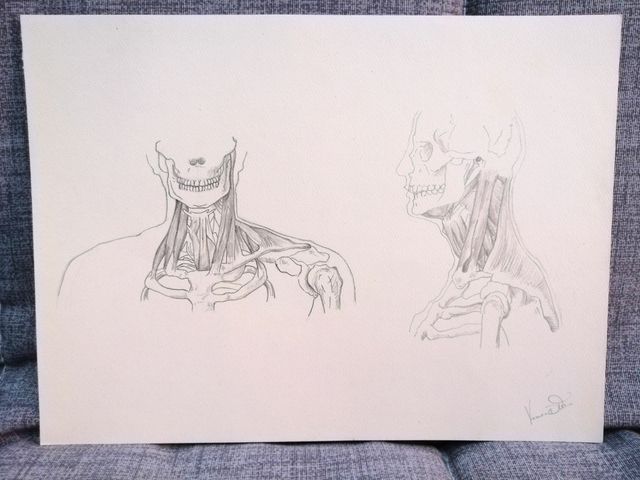 Tavola Corpo Umano, Quadro da Studio