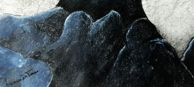 Gabbiano sulla scogliera,Quadro Grafite&Carboncino