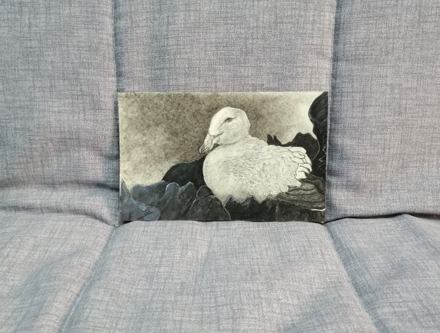 Gabbiano sulla scogliera,Quadro Grafite&Carboncino