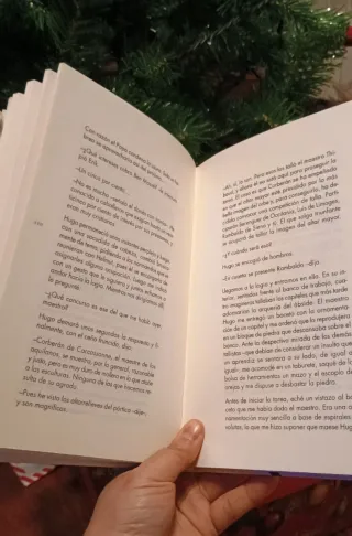 Libro juvenil la catedral de cesar mallorqui