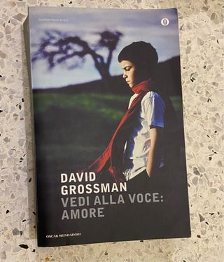 Libro “Vedi alla voce: amore”