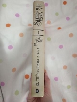 Libro "Sherlock,Lupin y yo"
