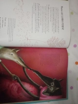 Libro "Un Mundo de Mamás Fantasticas"