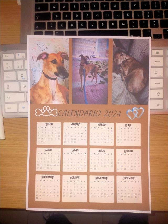 Tazas personalizadas