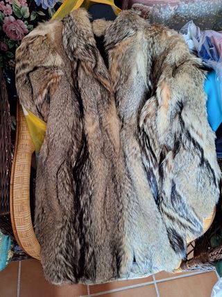 Chaqueton de zorro canadiense 