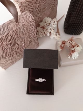 Anillo oro blanco 750 mm. orla circonitas