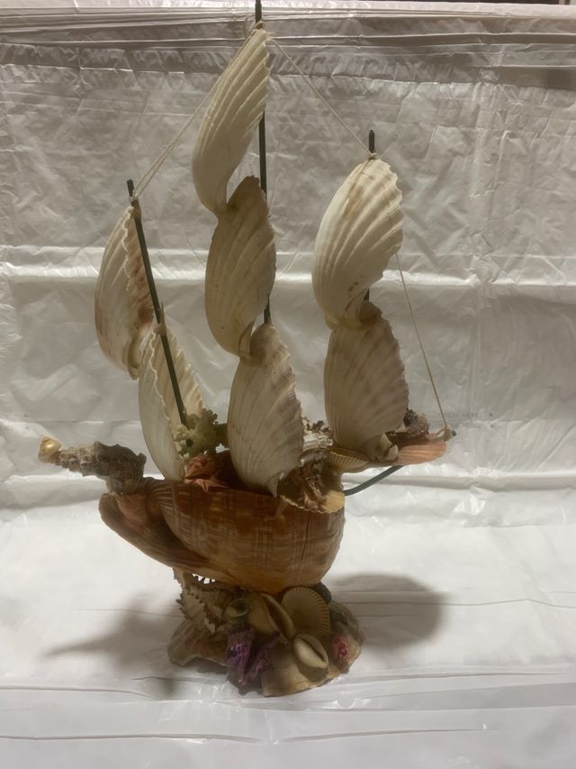 Barca a vela di conchiglie