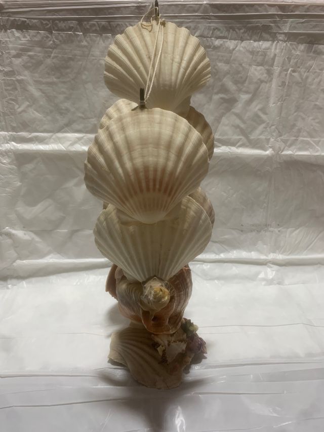 Barca a vela di conchiglie