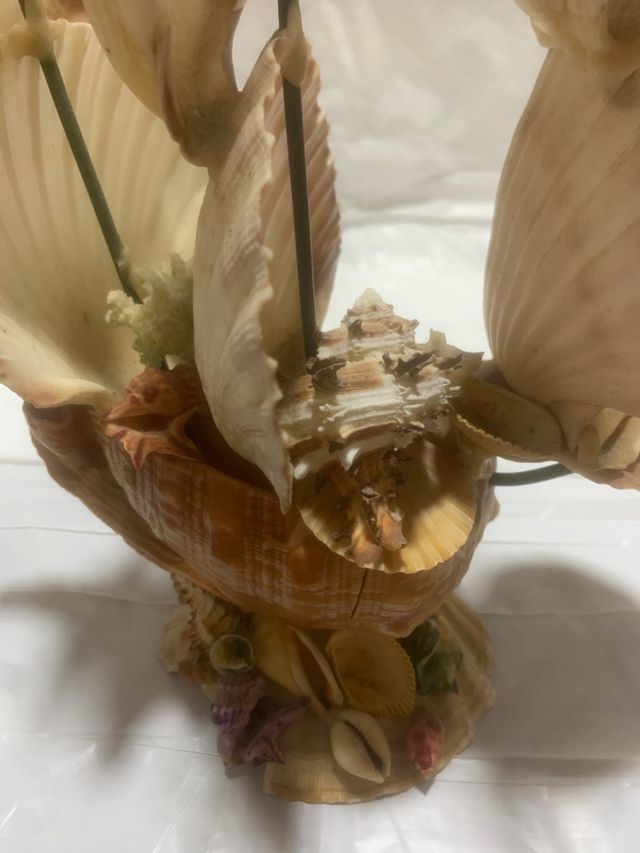 Barca a vela di conchiglie